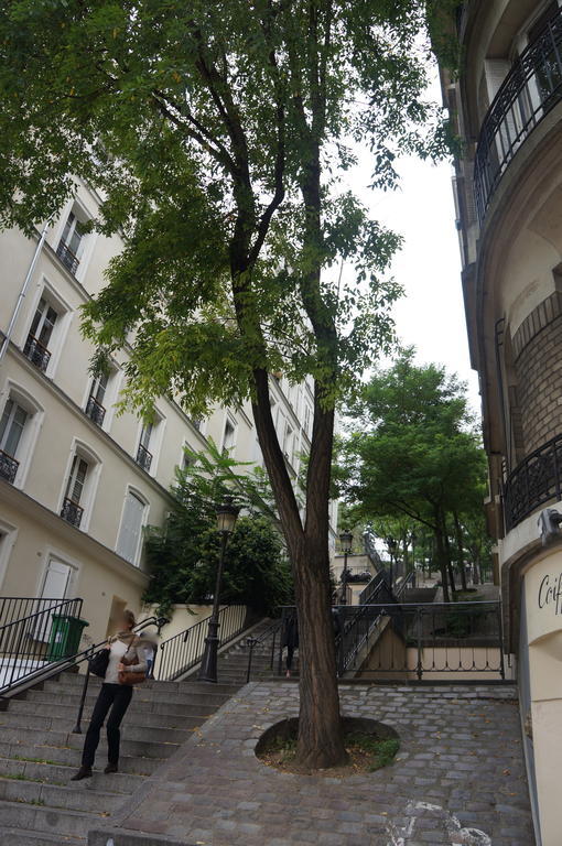 Studios De Charme A Montmartre Paris Exterior foto